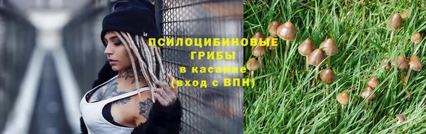 марки nbome Алексеевка