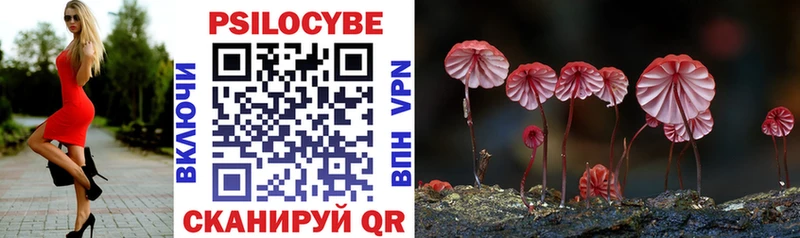 Псилоцибиновые грибы Cubensis  Щёлково 